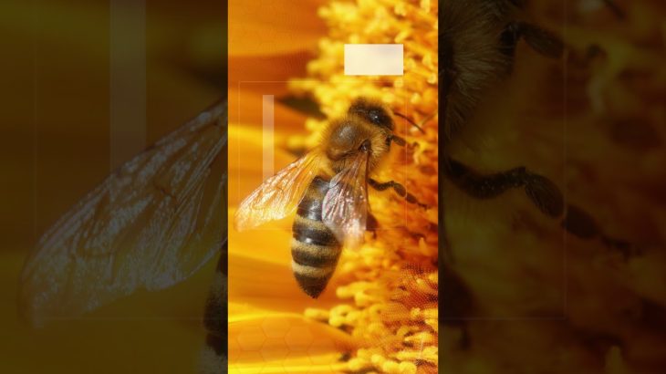 Lexica vs. Leonardo AI vs. Midjourney vs. Real Life