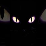 发光的猫眼 midjourney Google 即梦 Sora 和剪映专业版创作（prompt 在说明区）